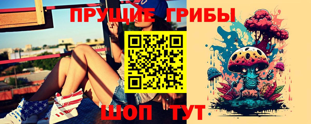 Псилоцибиновые грибы Psilocybine cubensis  Псилоцибиновые грибы мицелий  Вход с VPN  Рыбинск 