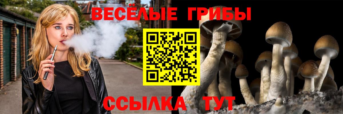 Галлюциногенные грибы Psilocybe Рыбинск